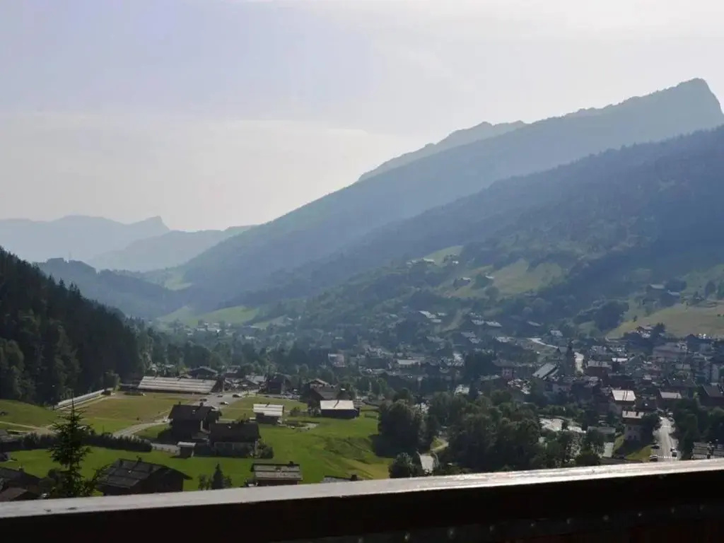 Appartement Le Grand-Bornand, 2 pièces, 5 personnes - FR-1-241-101