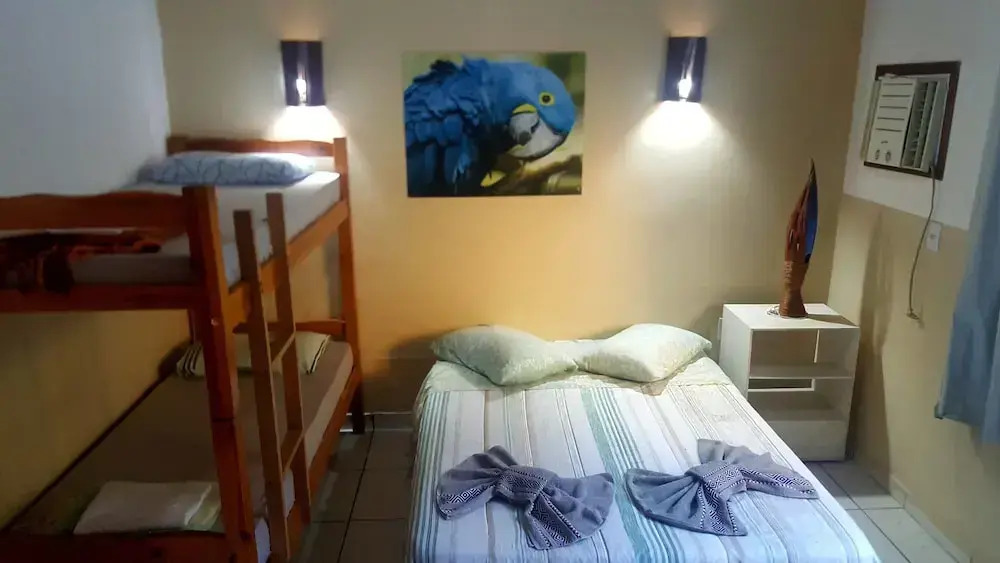 Arara Suite