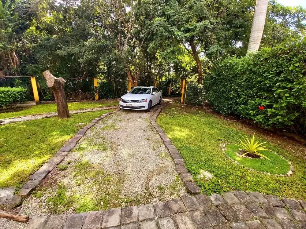 Mini Pini Birdwatching and Cenote Loft4 you Only