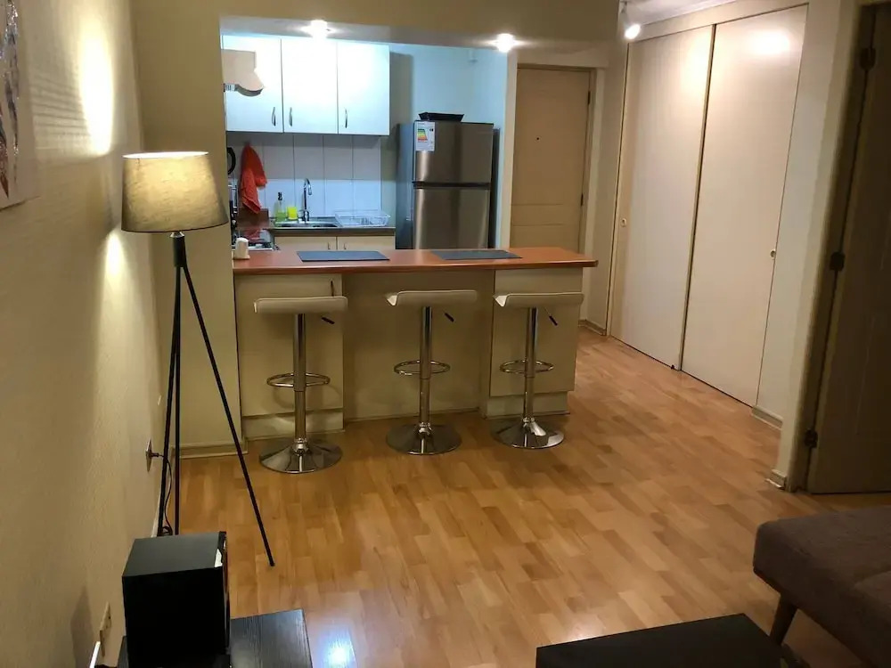 Apartment in Downtown of Santiago, Chile, one Room
