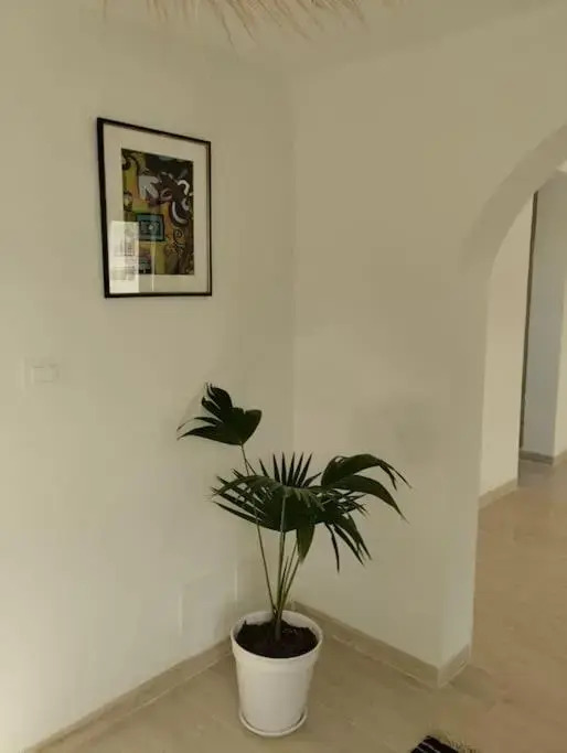 Maison s+1 près de la mer