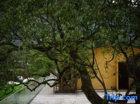 Wuyishan Buwenshanju (National Park No. 1 Scenic Road Branch)