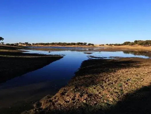 Herdade da Calada