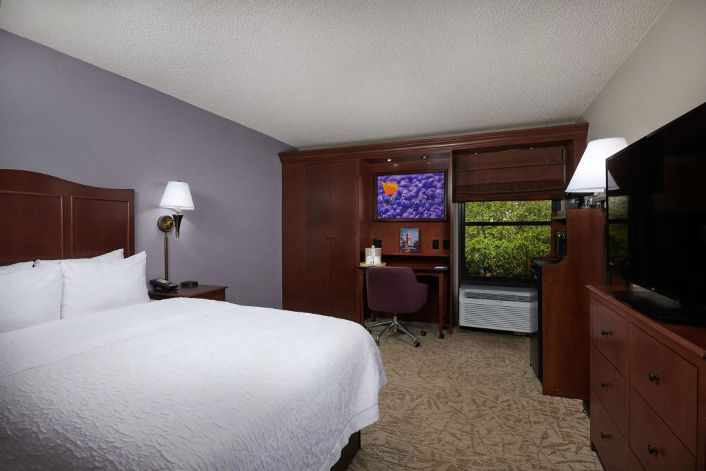 Hampton Inn Clemson