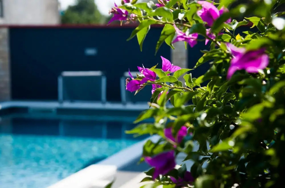 Villa Chervil ZadarVillas