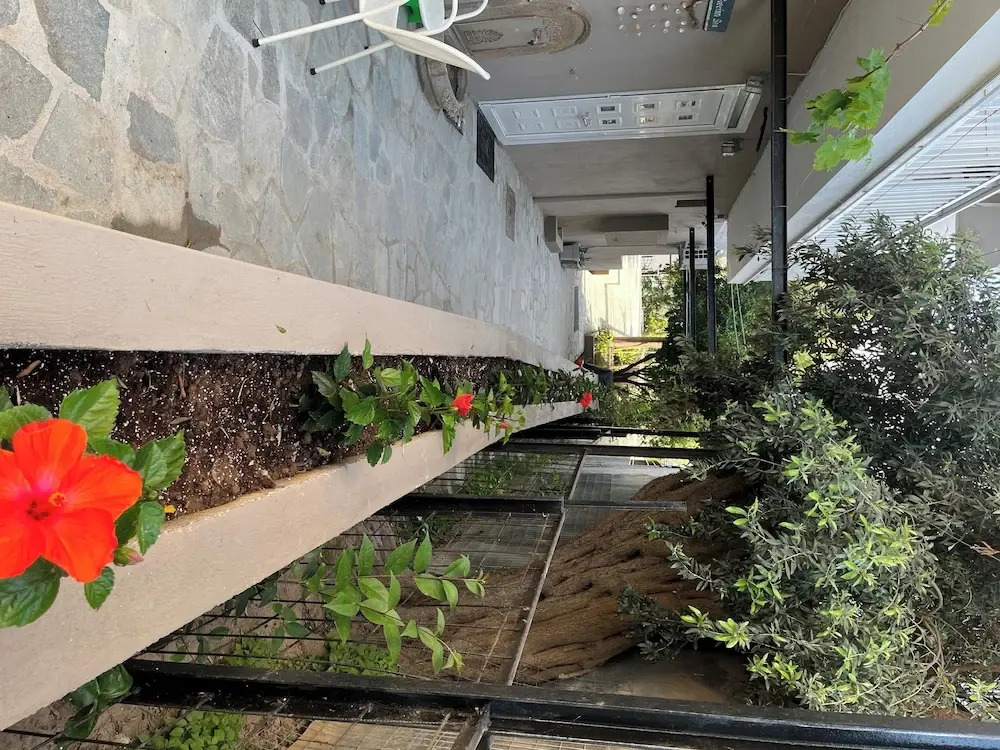 Room in Studio - Beautiful Room for 3 People in Limenaria, Only Five Minutes Away From Center