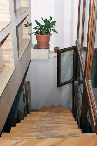 Nest Hostel