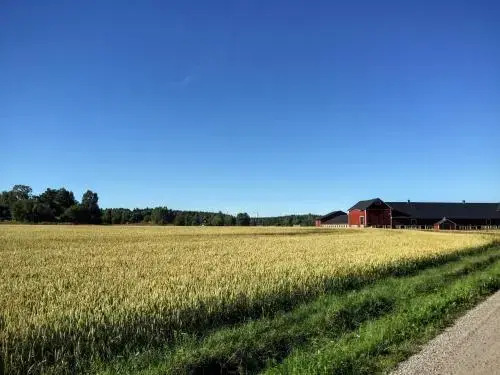Pensionat Hogården