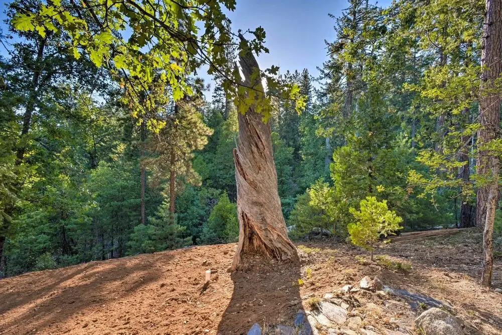 Deck + Grill: Mtn Haven in Stanislaus Nat'l Forest