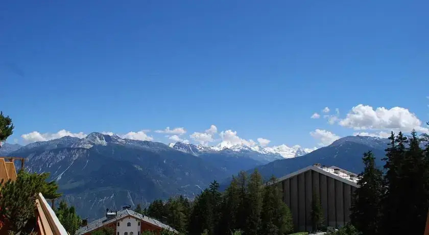 Appartement Terrasse des Alpes 811