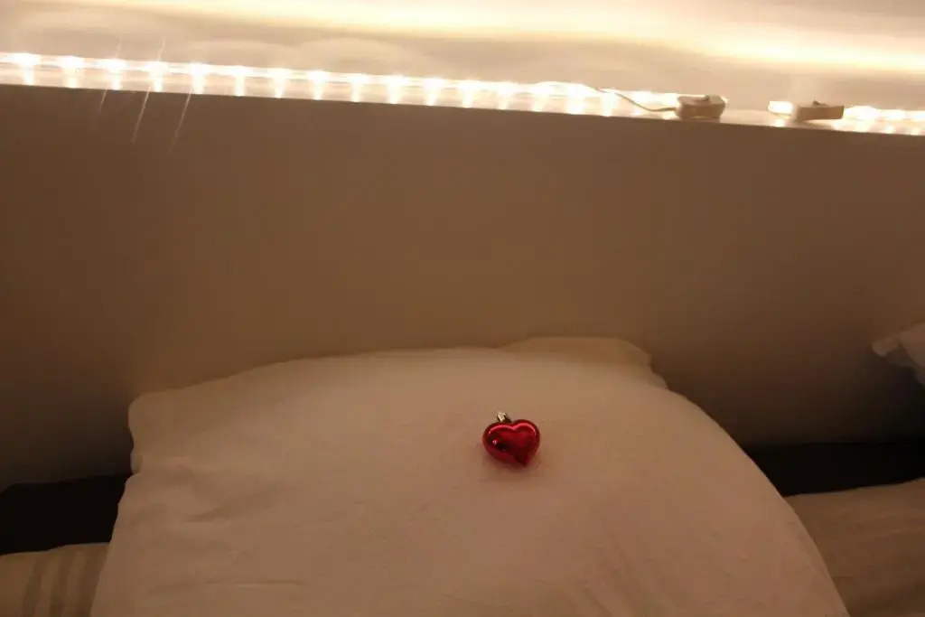 Loge du Vieux Lyon Chambre dhôtes