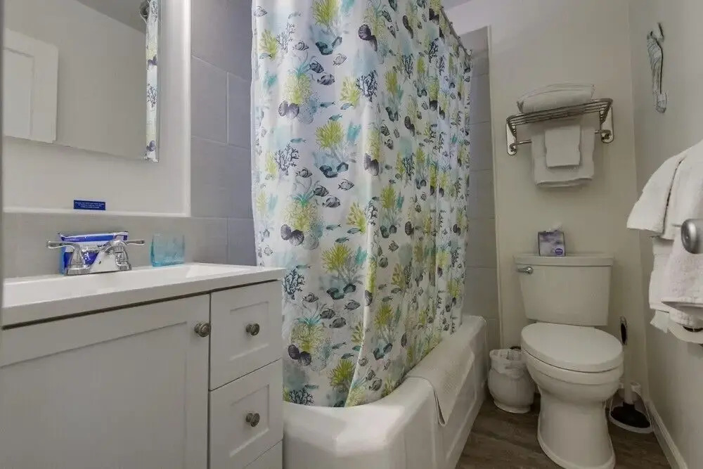 Roxy Beach House 1 1 Bedroom 1 Bathroom Condo