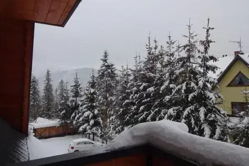 Czerwone Korale - Natural House