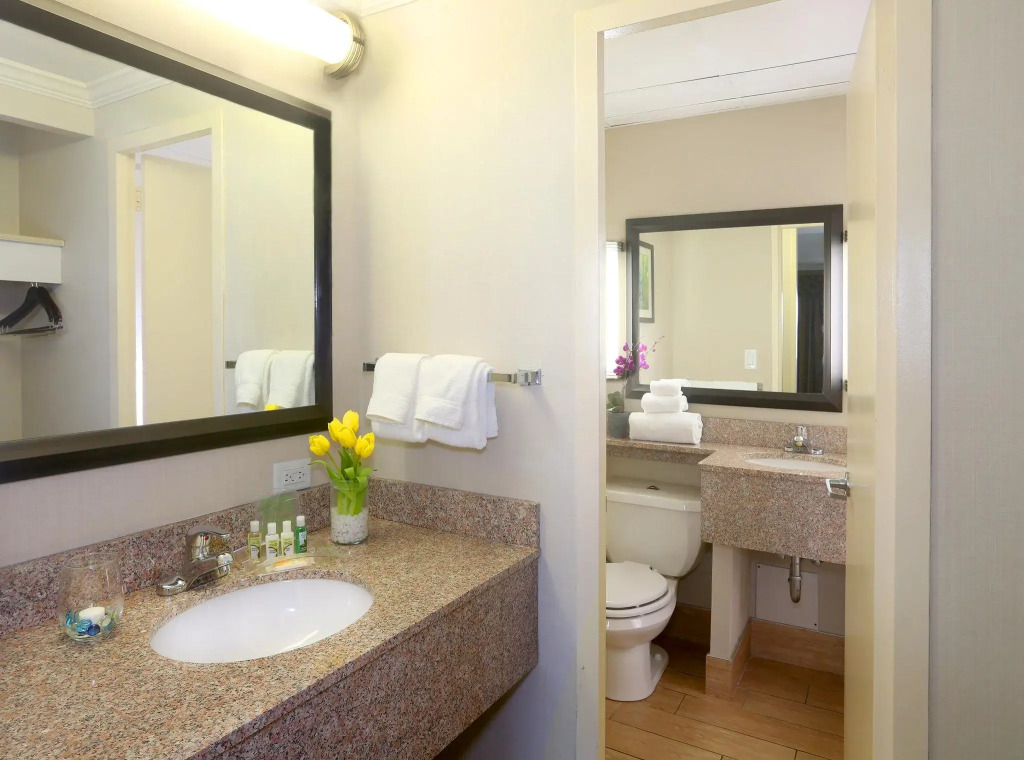 Holiday Inn Binghamton Downtown by IHG
