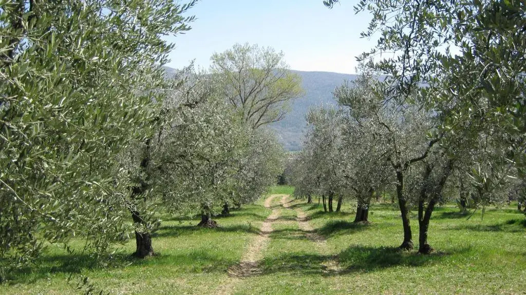 Il Casaletto