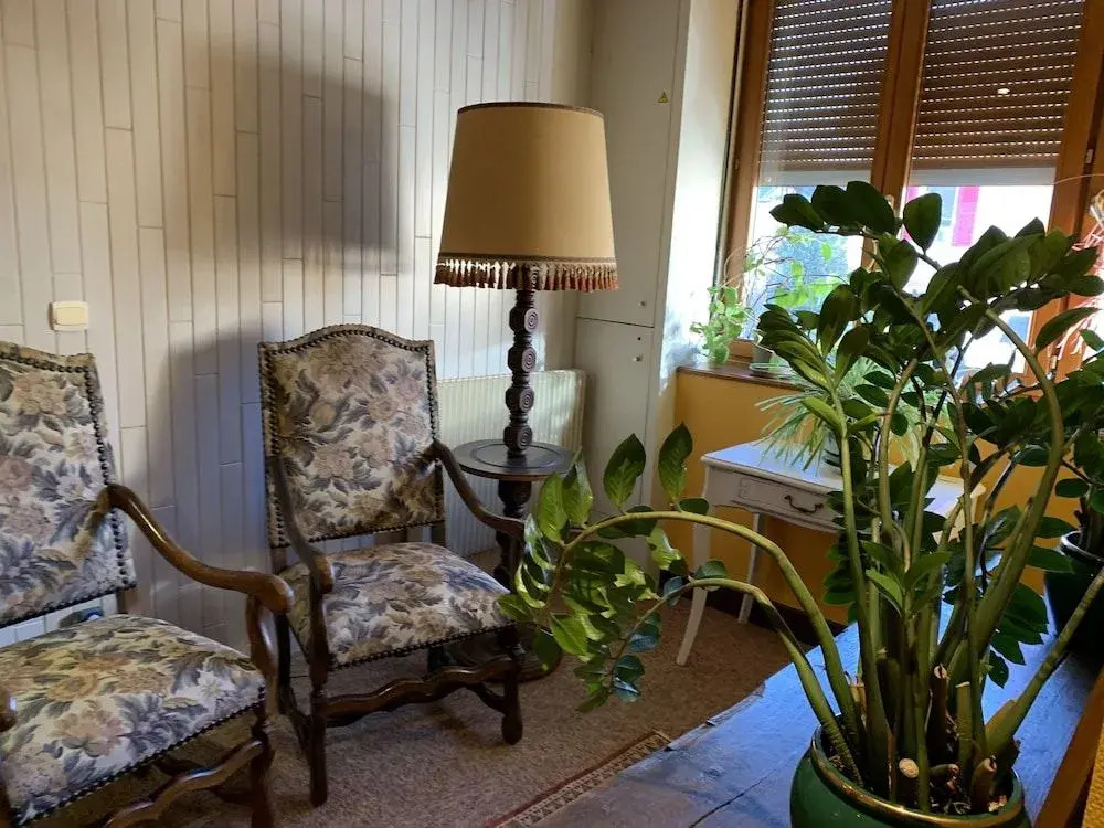 Citotel Les Vosges