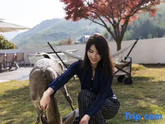 YUNXI Designer Hot Spring Homestay