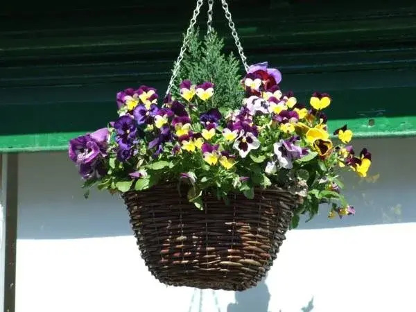 The Lakes B&B