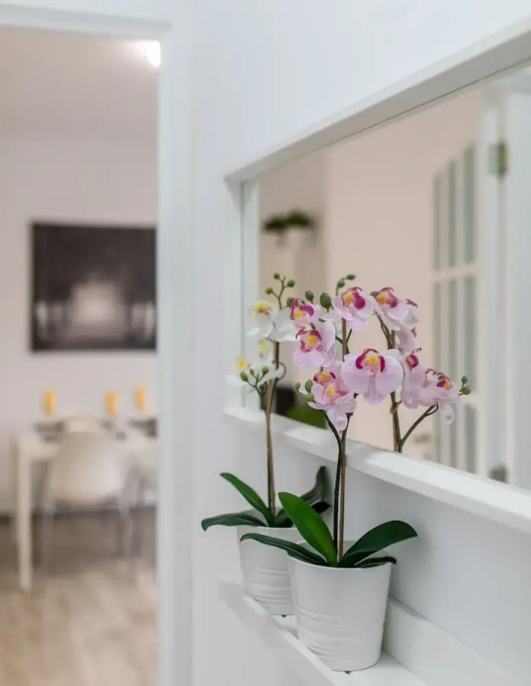 Santa Cruz Downtown Apartment, Luminosidad, Confort y Estilo