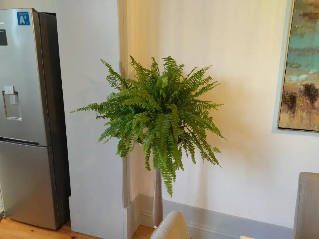 Lusitania Garden Apartment - Jardim Privado