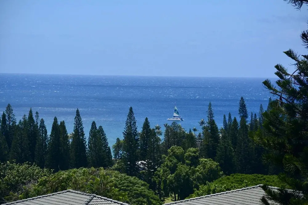 Kapalua Golf Villa 25V2