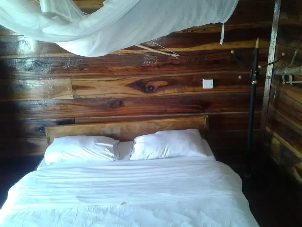 Ikoma Safari Camp