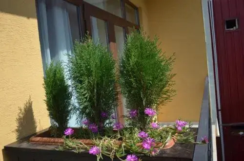 Guest House Madonna