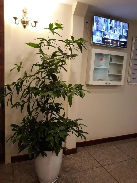 Purple Lotus Hotel