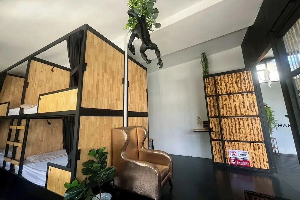 Lazy Lizard Hostel
