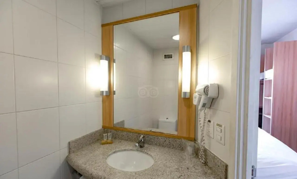 Ibis Providencia