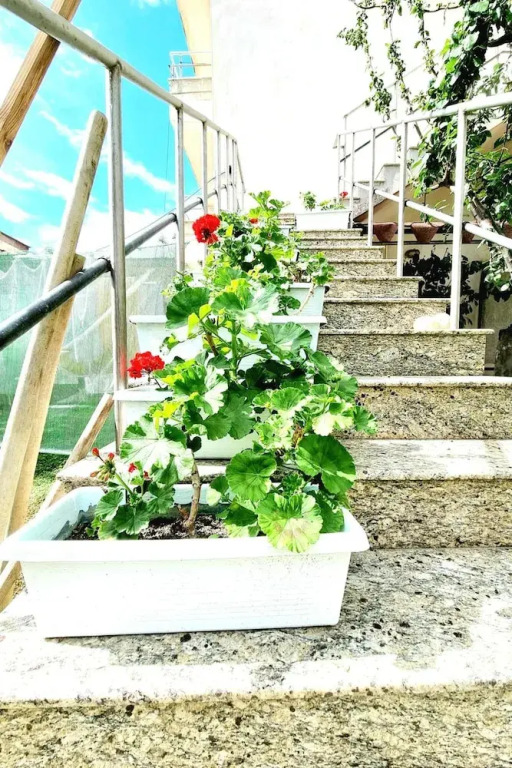 Luckyshine hostel