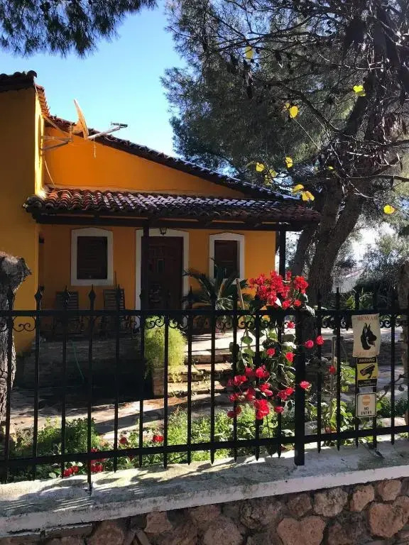The Yellow House