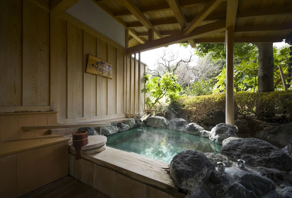 Fujisan Onsen Hotel Kaneyamaen