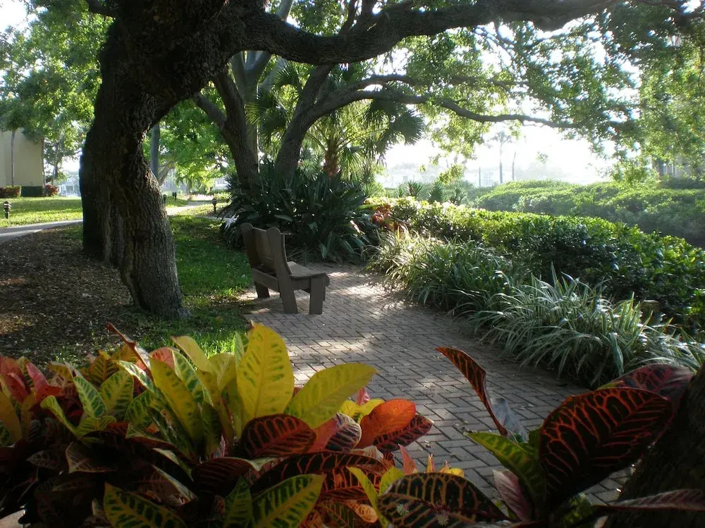 Midnight Cove Ii 932c -spectacular View-updated 2 Bedroom Condo