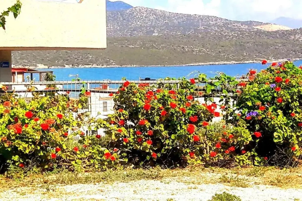 Elia - seaside place