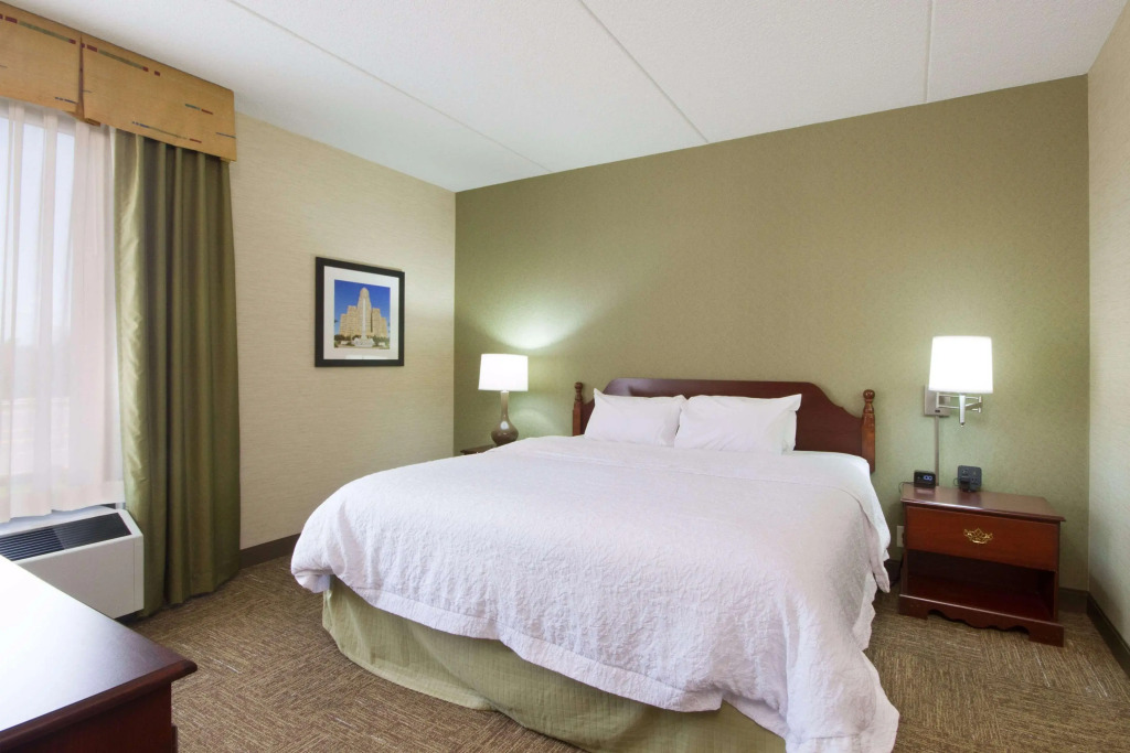 Hampton Inn Buffalo-South/I-90