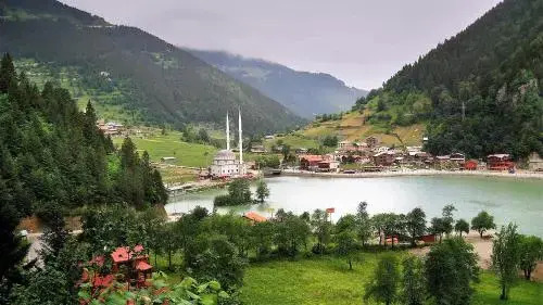 Talipoğlu Apart