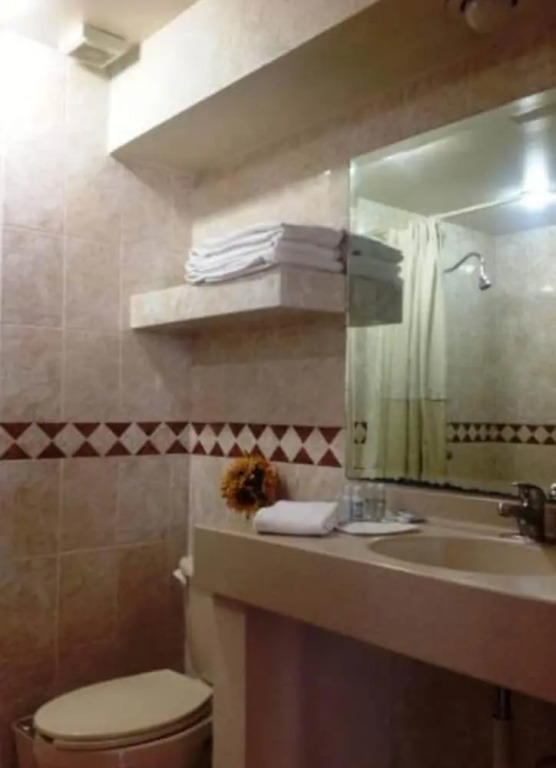 Hotel Plaza Ejecutivo