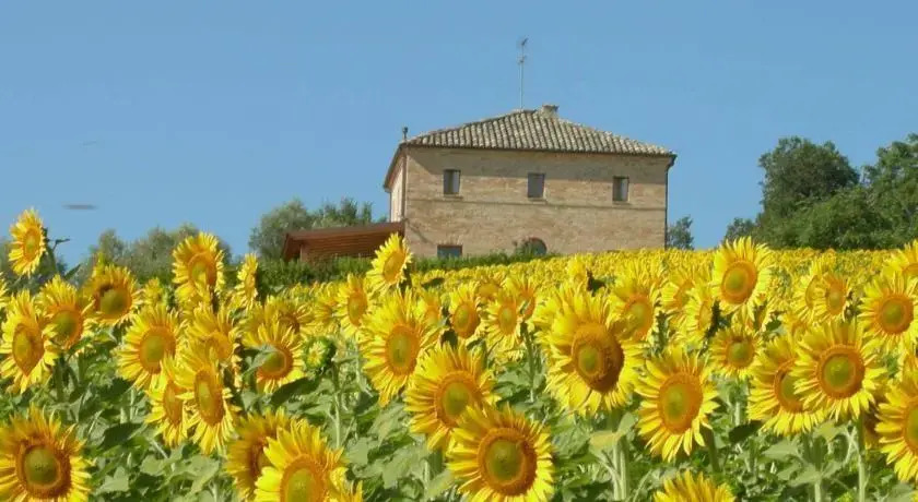 Casina Foglietti