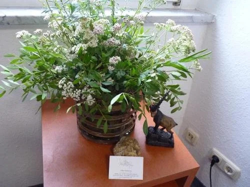 Eventlocation Mieten und Übernachten im Schloss nähe 07407 Rudolstadt