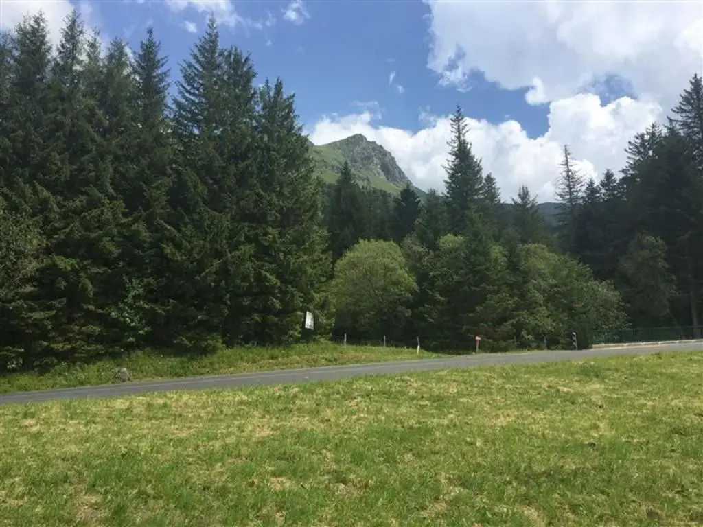 Appartement Mont-Dore, 2 pièces, 4 personnes - FR-1-415-64