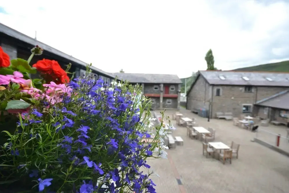 Dare Valley Accommodation and Campsite