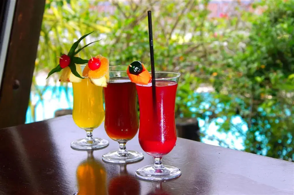Carayou Hotel et Spa