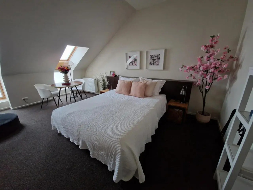 Boutique Hotel De Raetskamer