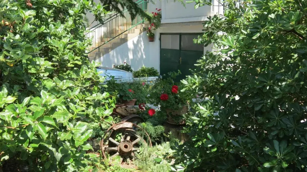 Apartments Marko