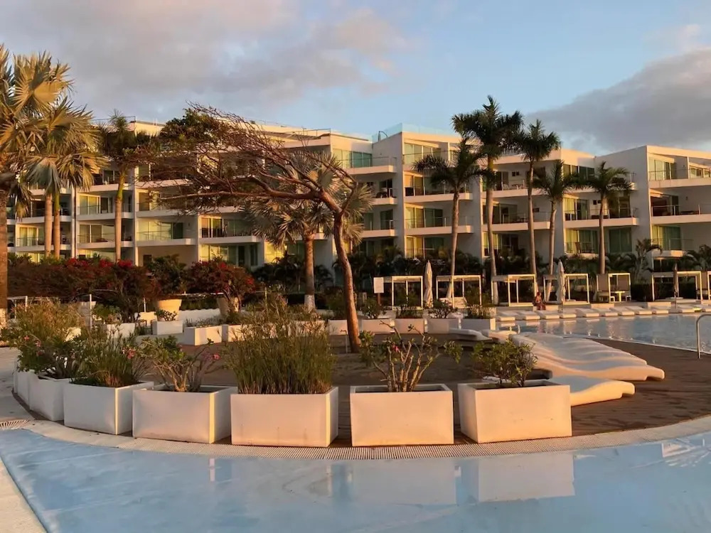 Aria Ocean 255 Flamingos