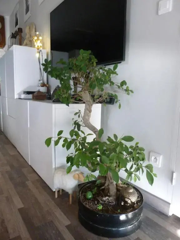 1 Chambre, 1 Ptit dèj
