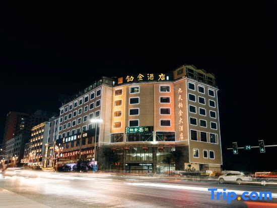 Platinum Hotels