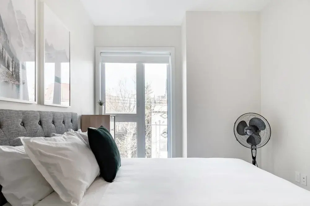 Discover Little Italy From a Bright Apartment