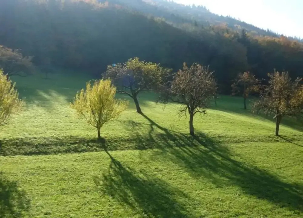 Comfy Apartment in Salmensbach near River